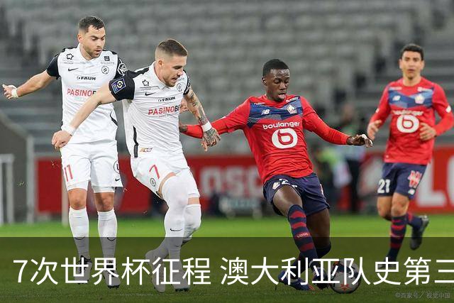 7次世界杯征程 澳大利亚队史第三次小组赛出线